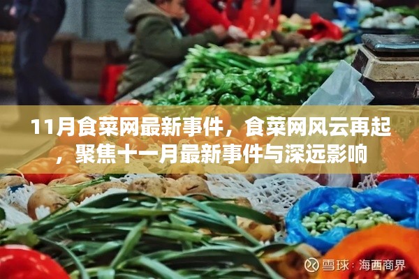 食菜网风云再起,聚焦最新事件及其深远影响