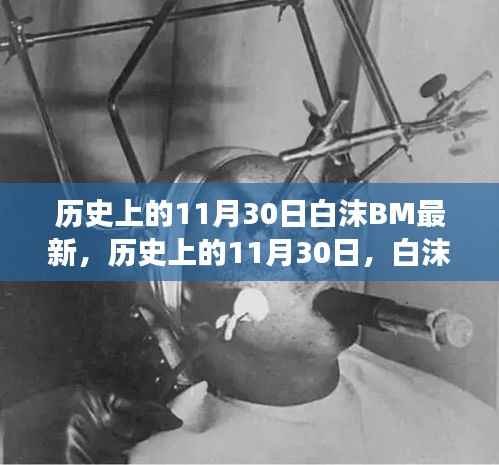 多维视角下的白沫BM事件,历史上的11月30日深度探讨