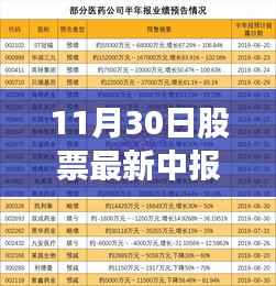 揭秘股市新星，宝藏小店的最新中报业绩与股市走势分析