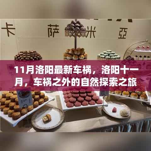 洛阳车祸最新消息与十一月自然探索之旅