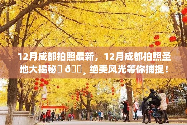 揭秘成都十二月拍照圣地,绝美风光等你来捕捉!