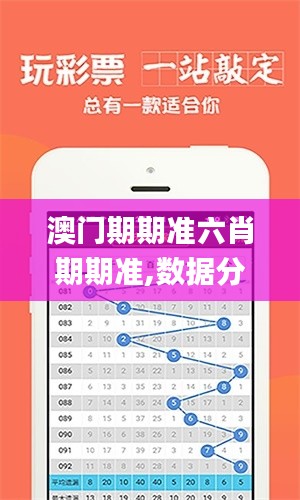 澳门期期准六肖期期准,数据分析说明_Plus33.735-5