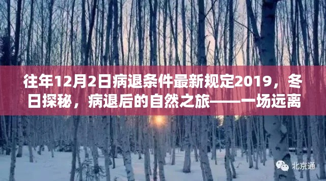 冬日探秘,病退后新规定下的心灵之旅(病退条件最新规定与自然之旅结合)