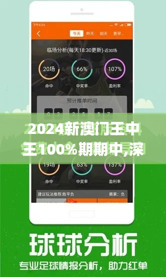 2024新澳门王中王100%期期中,深入执行方案数据_黄金版155.311-2
