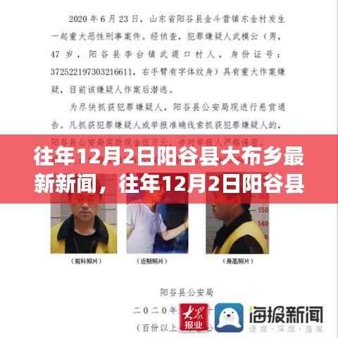 往年12月2日阳谷县大布乡最新新闻综述,乡村发展的正反观点与个人立场分析
