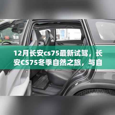 长安CS75冬季自然之旅,与自然共舞,探寻内心宁静与平和的驾驶体验