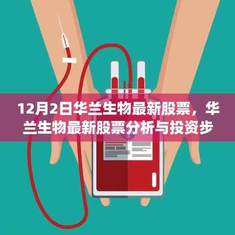 华兰生物最新股票分析与投资指南(适合初学者与进阶用户)