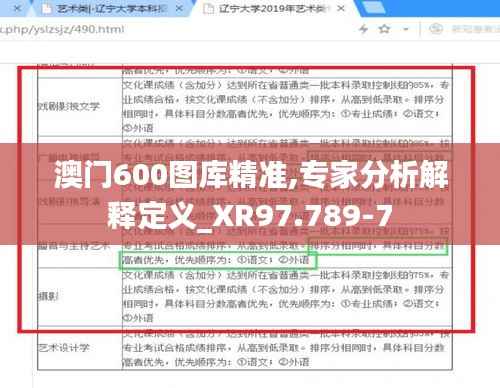 澳门600图库精准,专家分析解释定义_XR97.789-7