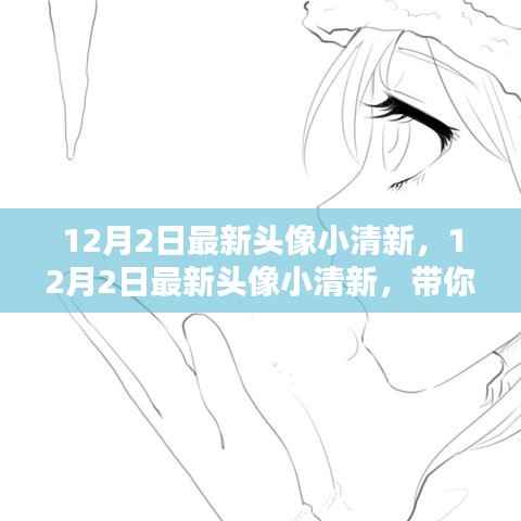 12月最新小清新头像,冬日温暖中的清新之美