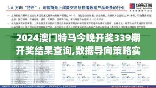 2024澳门特马今晚开奖339期开奖结果查询,数据导向策略实施_HD89.721-5