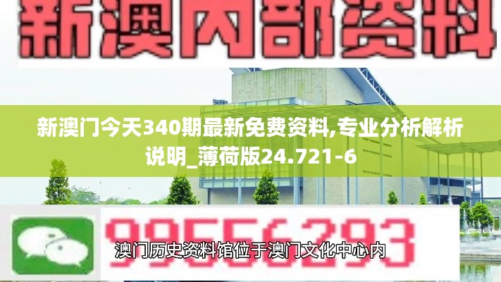 新澳门今天340期最新免费资料,专业分析解析说明_薄荷版24.721-6