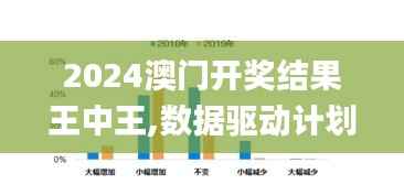 2024澳门开奖结果王中王,数据驱动计划解析_WP版14.884