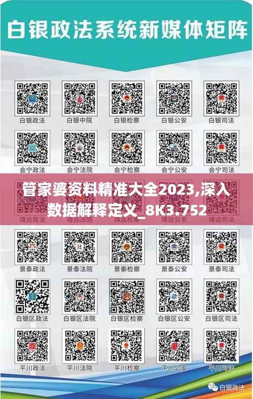 管家婆资料精准大全2023,深入数据解释定义_8K3.752