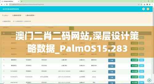 澳门二肖二码网站,深层设计策略数据_PalmOS15.283