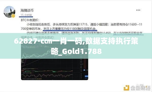 62827·c㎝一肖一码,数据支持执行策略_Gold1.788