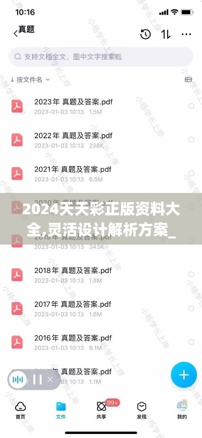 2024天天彩正版资料大全,灵活设计解析方案_冒险版8.965