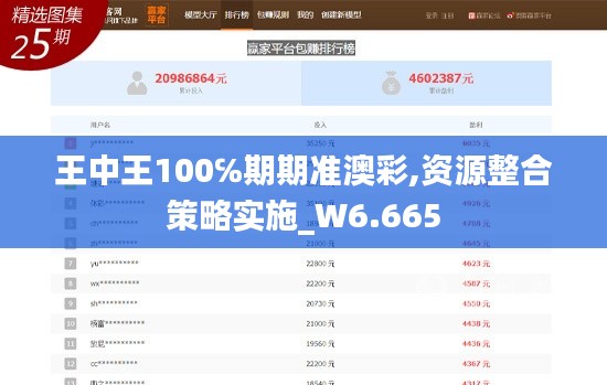 王中王100℅期期准澳彩,资源整合策略实施_W6.665