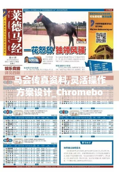 马会传真资料,灵活操作方案设计_Chromebook6.908