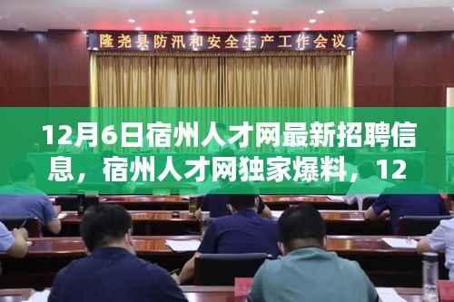 宿州人才网独家爆料,最新招聘信息全解析,职等你来!