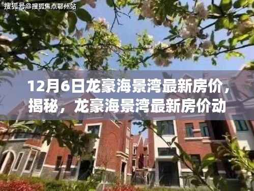 12月6日龙豪海景湾最新房价,揭秘,龙豪海景湾最新房价动态——深度解析十二月六日市场趋势