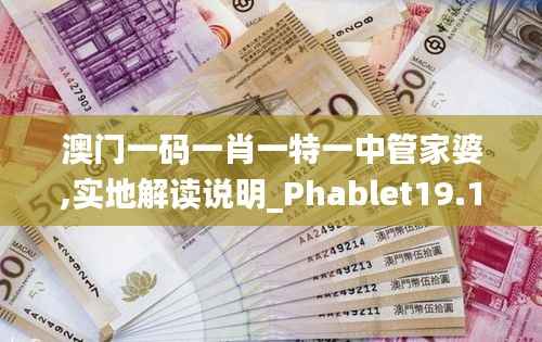 澳门一码一肖一特一中管家婆,实地解读说明_Phablet19.120
