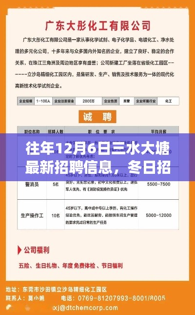 大塘温暖招聘季,冬日岗位与友情热忱相拥