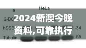 2024新澳今晚资料,可靠执行策略_iShop6.959