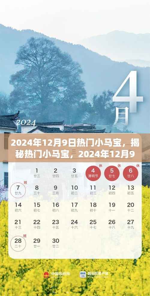 揭秘热门小马宝,2024年12月9日的独特魅力与探索之旅