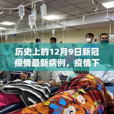 历史上的十二月九日,疫情下的自然探险与内心平静的奇妙之旅见证奇迹时刻