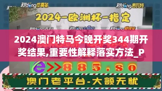 2024澳门特马今晚开奖344期开奖结果,重要性解释落实方法_PalmOS14.411