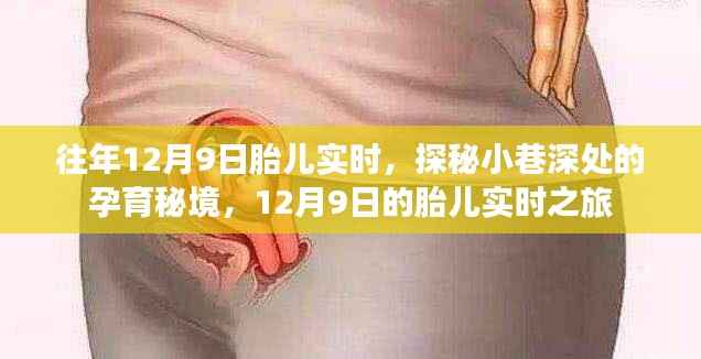 探秘孕育秘境，12月9日胎儿实时之旅