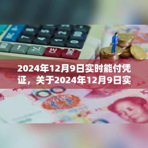 关于2024年12月9日实时能付凭证的全面解析与实时交易凭证详解