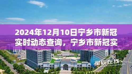 宁乡市新冠疫情实时动态查询系统，共同守护家园的最新信息