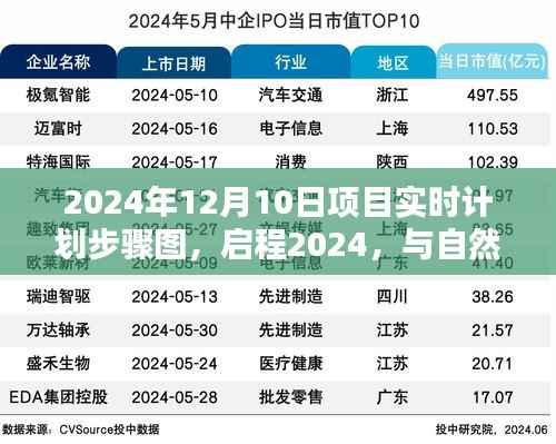 启程2024,与自然美景的不期而遇—— 12月10日项目探险实时计划步骤图揭秘