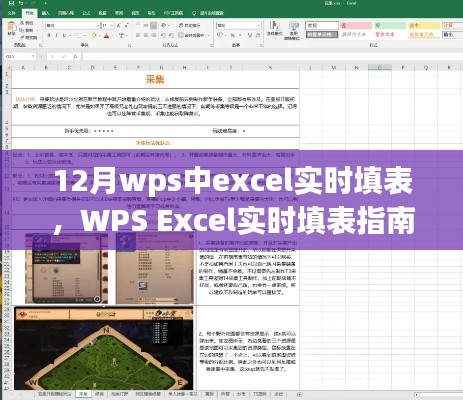 WPS Excel实时填表指南,从初学者到进阶用户的实用指南