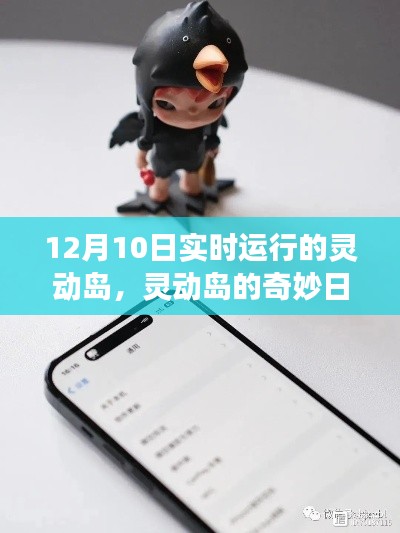 温馨冬日冒险，灵动岛的实时运行与奇妙日常