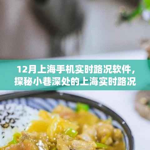 探秘隐藏版特色小店,上海实时路况软件圣地奇妙之旅