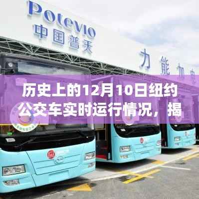 揭秘历史上的纽约公交实时运行,12月10日公交车实时运行情况及详细体验指南