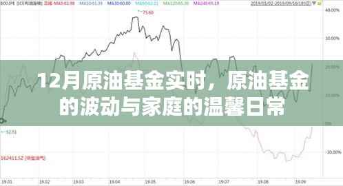 原油基金波动下的家庭温馨日常，实时分析与关注
