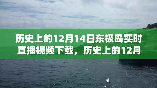 历史上的12月14日东极岛实时直播视频下载，珍藏珍贵时刻的直播记忆