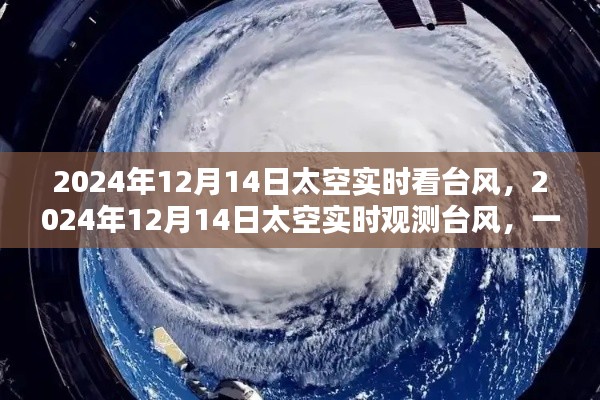 太空观测台风,一步步教你成为台风观测专家,实时追踪台风动态(2024年12月14日)
