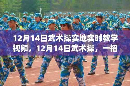 12月14日武术操实地实时教学,一招一式汇聚自信与力量,开启励志之旅