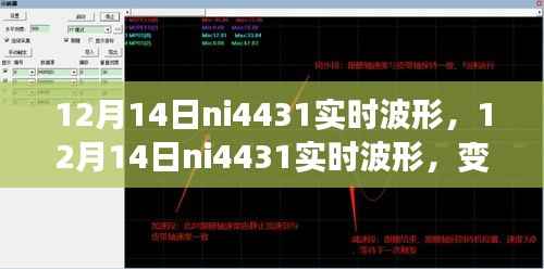 12月14日ni4431实时波形,变化中的学习之旅与自信成就感的闪耀火花