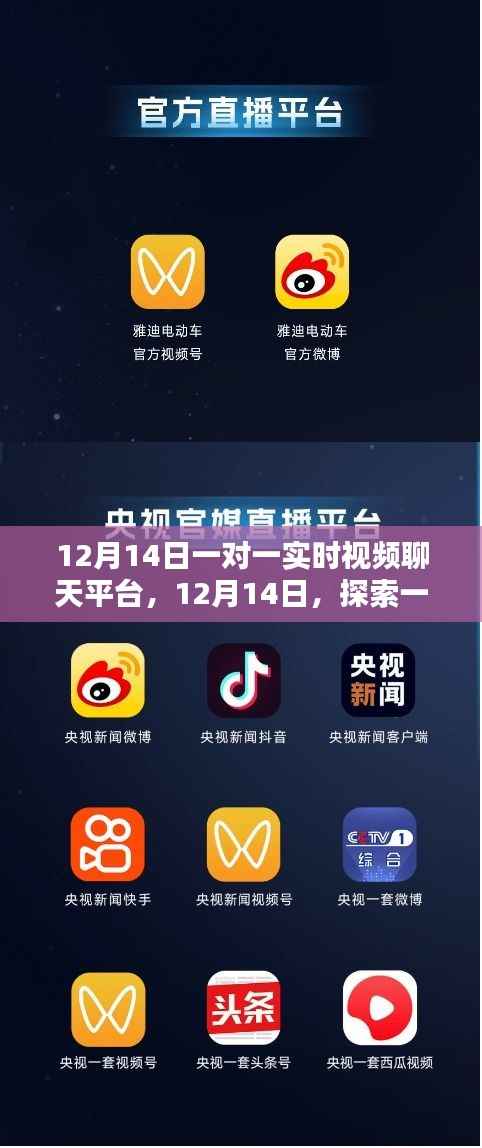 探索一对一实时视频聊天平台,全新体验在12月14日开启