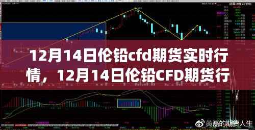 12月14日伦铅CFD期货实时行情下的心灵探索,宁静之力的追寻