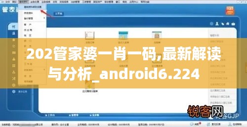 202管家婆一肖一码,最新解读与分析_android6.224