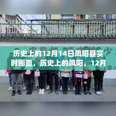 历史上的凤阳，12月14日阳光下的启示与成长之路