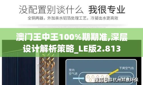 澳门王中王100%期期准,深层设计解析策略_LE版2.813