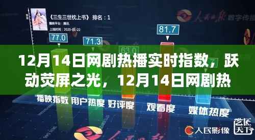 12月14日网剧热播背后的励志故事与成长力量,荧屏之光实时指数揭秘
