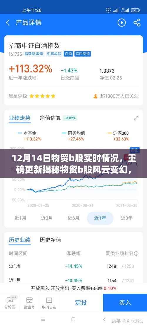 揭秘物贸B股风云变幻,深度解析实时动态